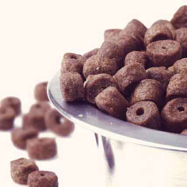 Soft Cat Food >> Semi Moist Cat Food And Mixed Food Diets Petcarerx Soft Cat Food >> Semi Moist Cat Food And Mixed Food Diets Petcarerx