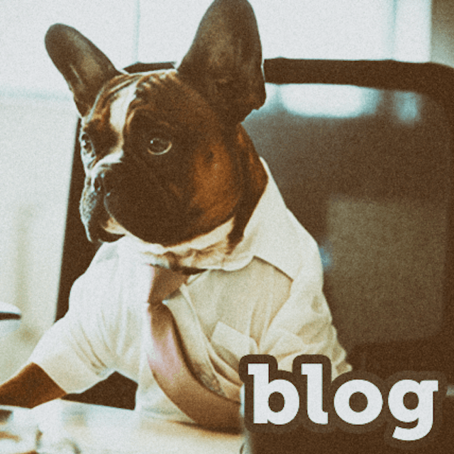 Is It Safe To Let Your Cat Get Rid Of Mice Petcarerx