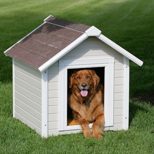 Dog house casino dog houses info. Собака с конурой. Собачья будка. Б̶у̶т̶к̶а̶ д̶л̶я̶ с̶о̶б̶а̶к̶. Красивые будки для собак.