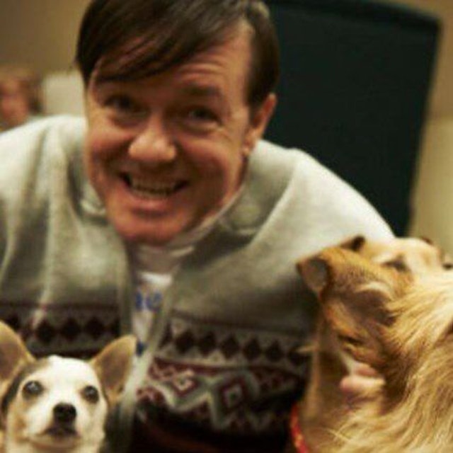 12 Would Be Vet Celebrities Petcarerx 12 Would Be Vet Celebrities Petcarerx